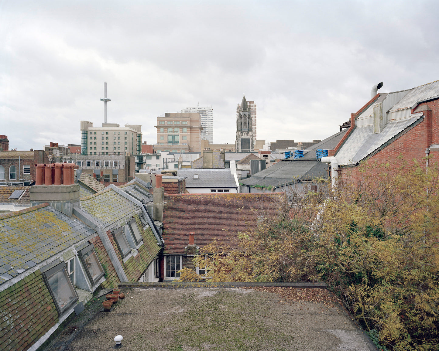 'Ship Street Gardens, Brighton, England, (2016/2025)' by Fergus Heron